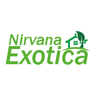 NirvanaExotica Homestay dandeli logo2